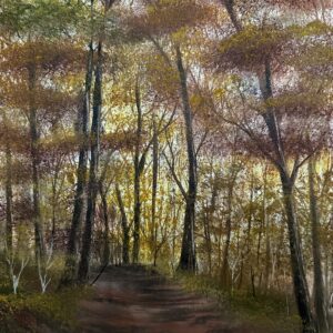 Forest Walk2