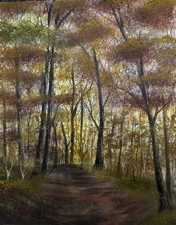 Forest Walk2